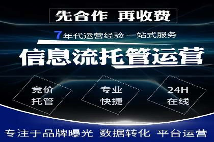 从小白到高手：百度竞价赚钱全记录